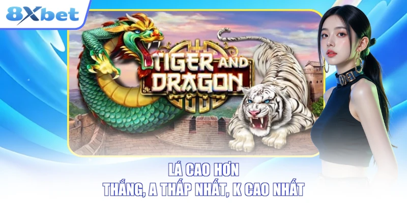 Rồng Hổ 8XBET gọn luật nhưng không gọn rủi ro